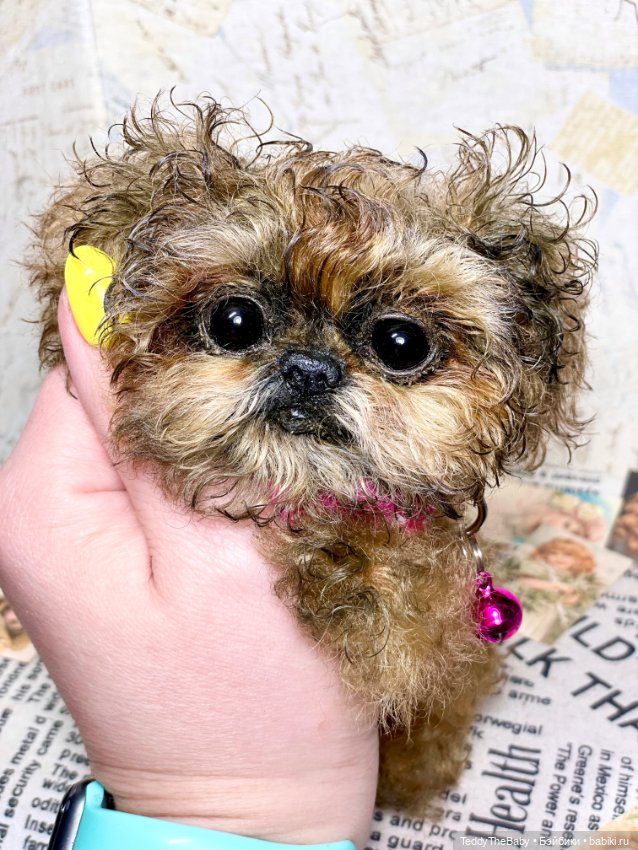 Molly — Реалистичные игрушки и звери (Натюр): собаки