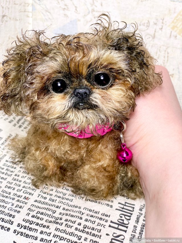 Molly — Реалистичные игрушки и звери (Натюр): собаки