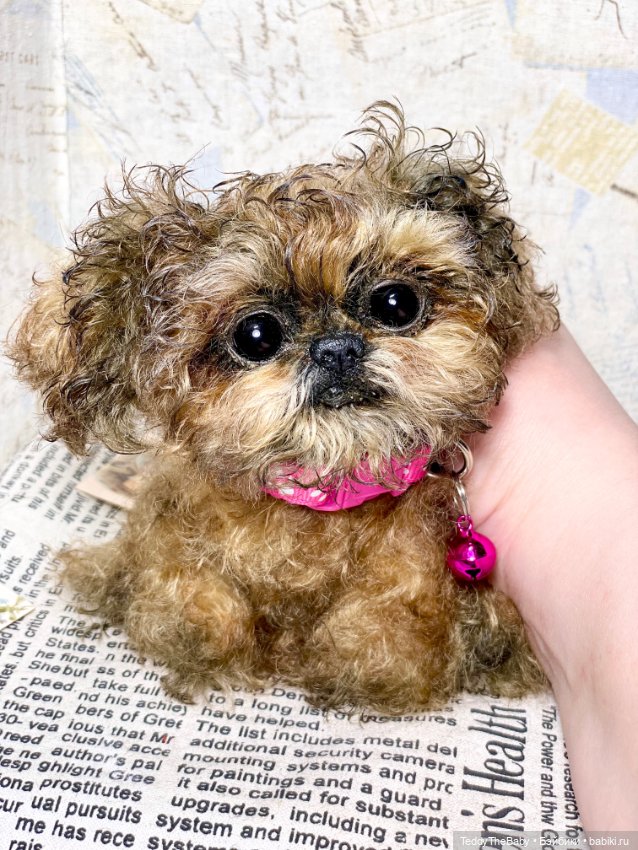 Molly — Реалистичные игрушки и звери (Натюр): собаки