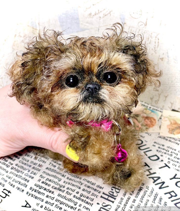 Molly — Реалистичные игрушки и звери (Натюр): собаки (фото 9)