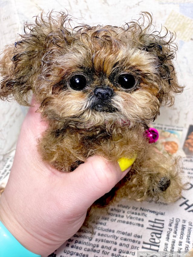 Molly — Реалистичные игрушки и звери (Натюр): собаки