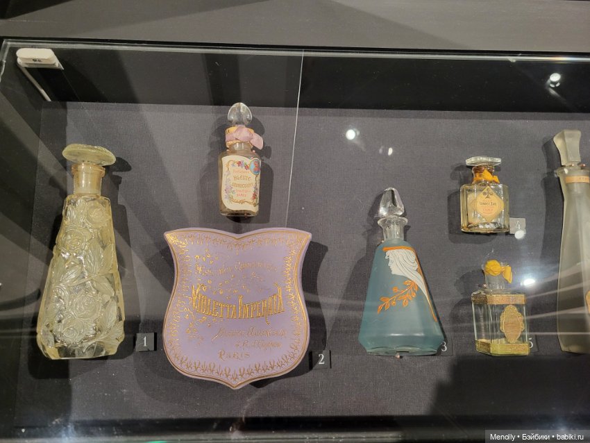 Машина времени или Кринолин. Жакет. Свитшот