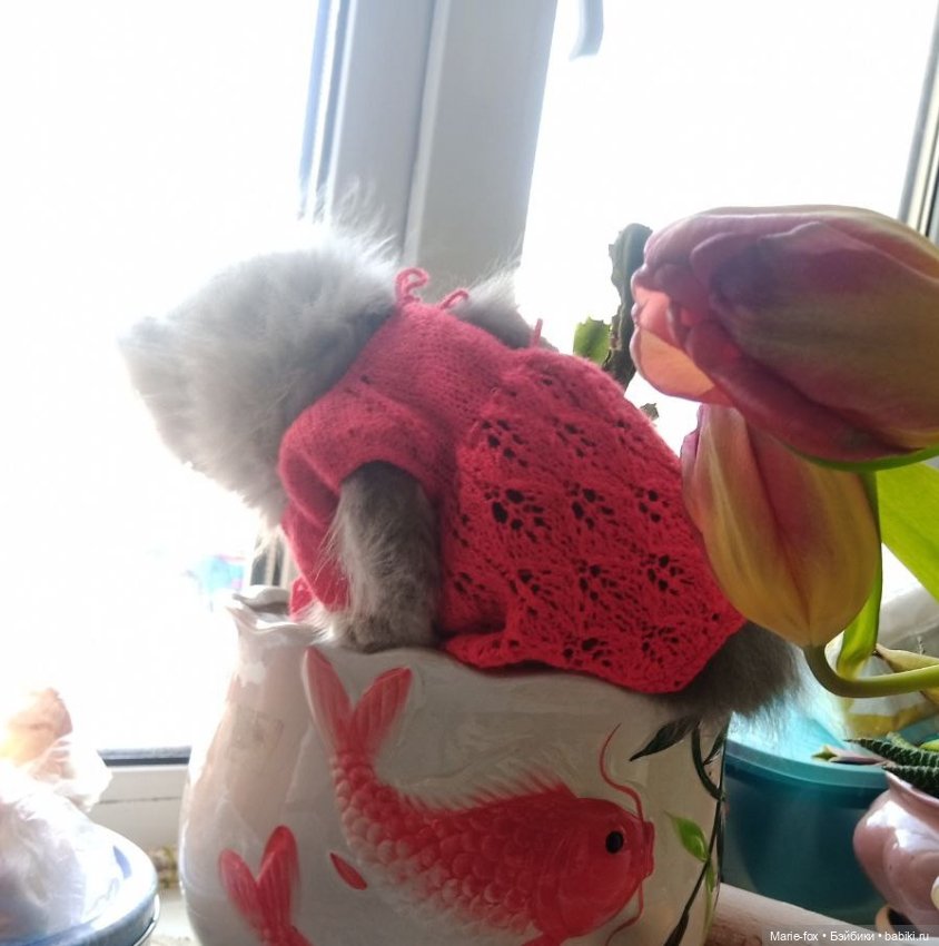 А ведь взрослая уже женЩина же (просто посмеяться)