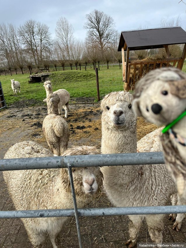 Fashion Dolls 484 — Туризм и путешествия: фотоотчеты из поездок (фото 3)