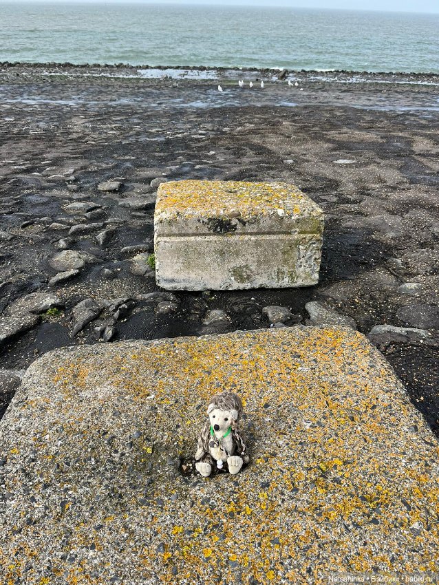 Fashion Dolls 484 — Туризм и путешествия: фотоотчеты из поездок