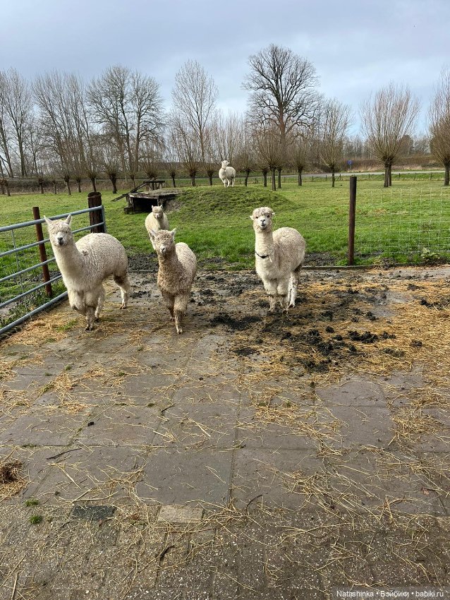 Fashion Dolls 484 — Туризм и путешествия: фотоотчеты из поездок (фото 8)