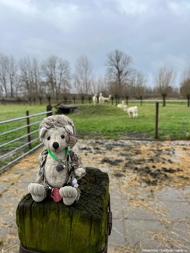 Fashion Dolls 484 — Туризм и путешествия: фотоотчеты из поездок (фото 2)