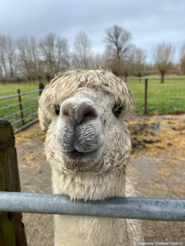 Fashion Dolls 484 — Туризм и путешествия: фотоотчеты из поездок (фото 6)