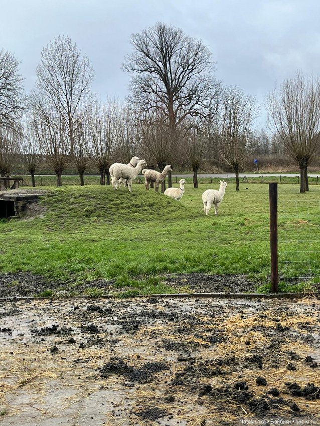 Fashion Dolls 484 — Туризм и путешествия: фотоотчеты из поездок