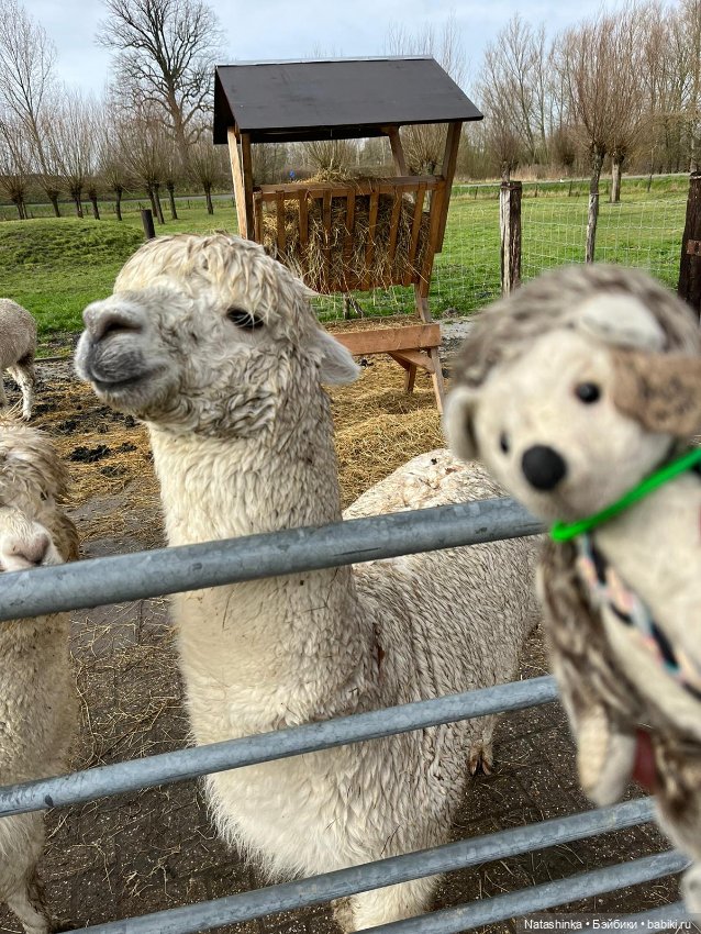 Fashion Dolls 484 — Туризм и путешествия: фотоотчеты из поездок (фото 5)