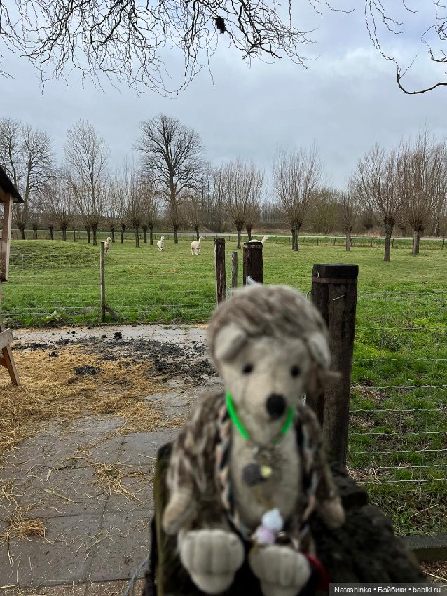 Fashion Dolls 484 — Туризм и путешествия: фотоотчеты из поездок (фото 4)