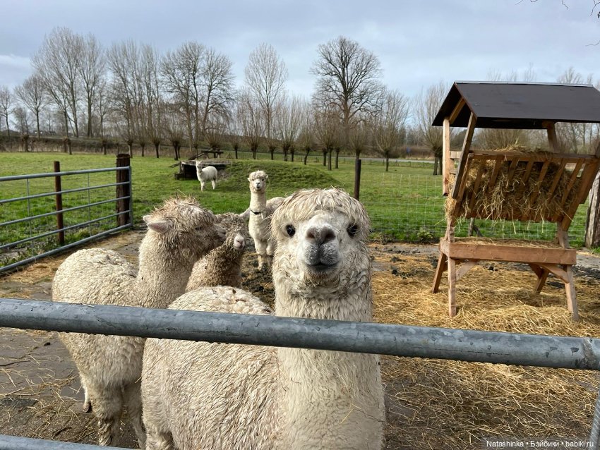 Fashion Dolls 484 — Туризм и путешествия: фотоотчеты из поездок (фото 7)