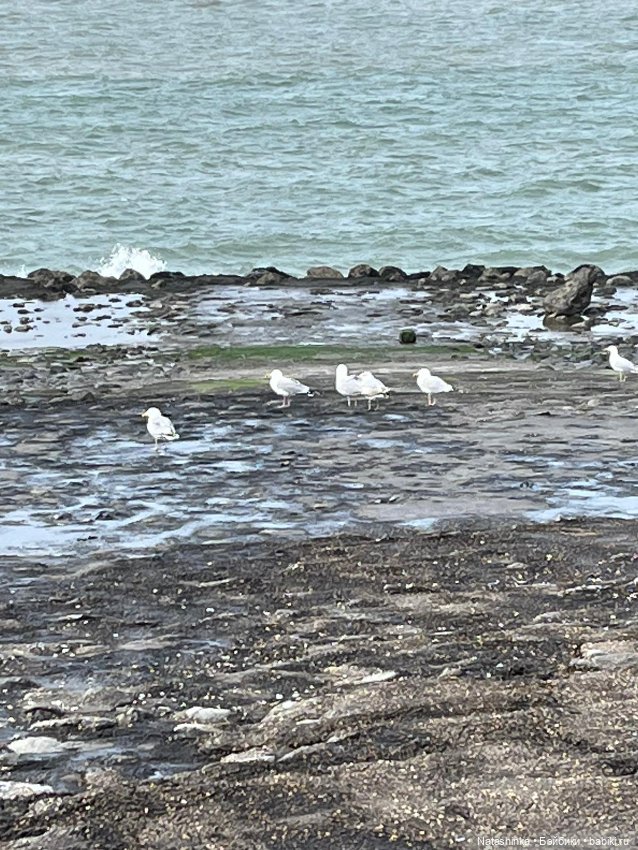 Fashion Dolls 484 — Туризм и путешествия: фотоотчеты из поездок