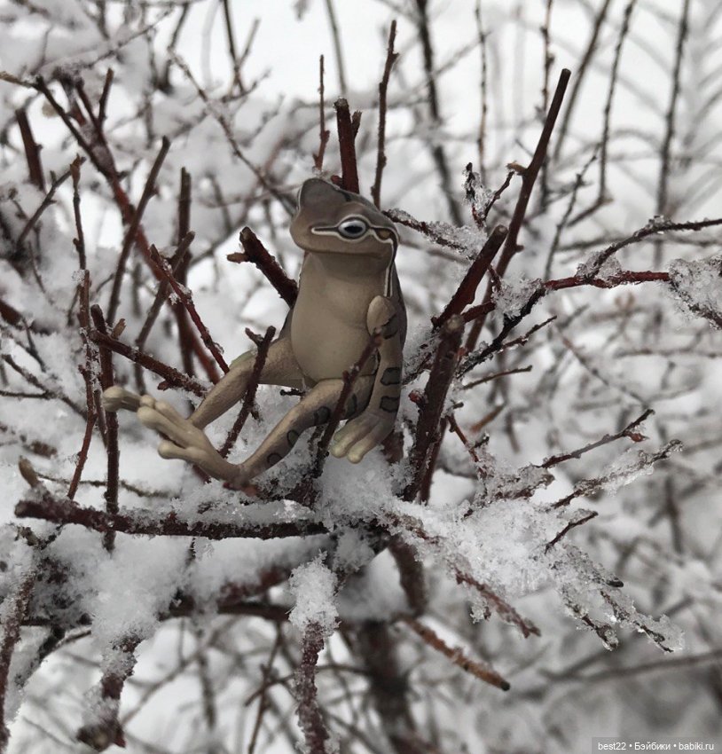 Капсульный лягушонок — Интересные игрушки и фигурки (разное): редкие