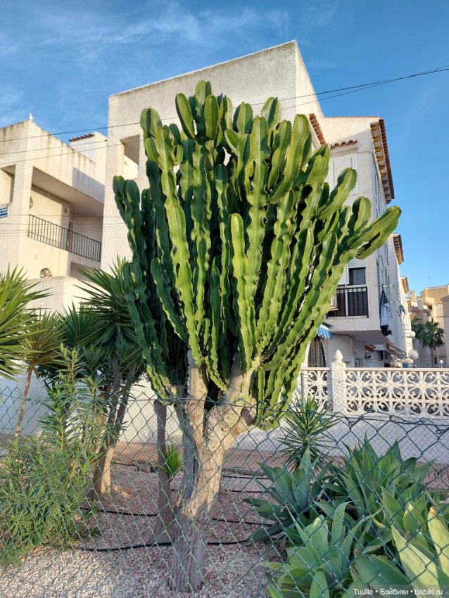 Ещё один летний денёк перед встречей с зимой (фото 3)