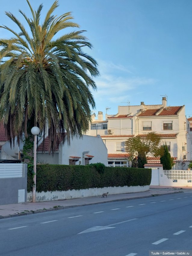 Ещё один летний денёк перед встречей с зимой