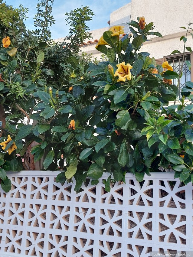 Ещё один летний денёк перед встречей с зимой