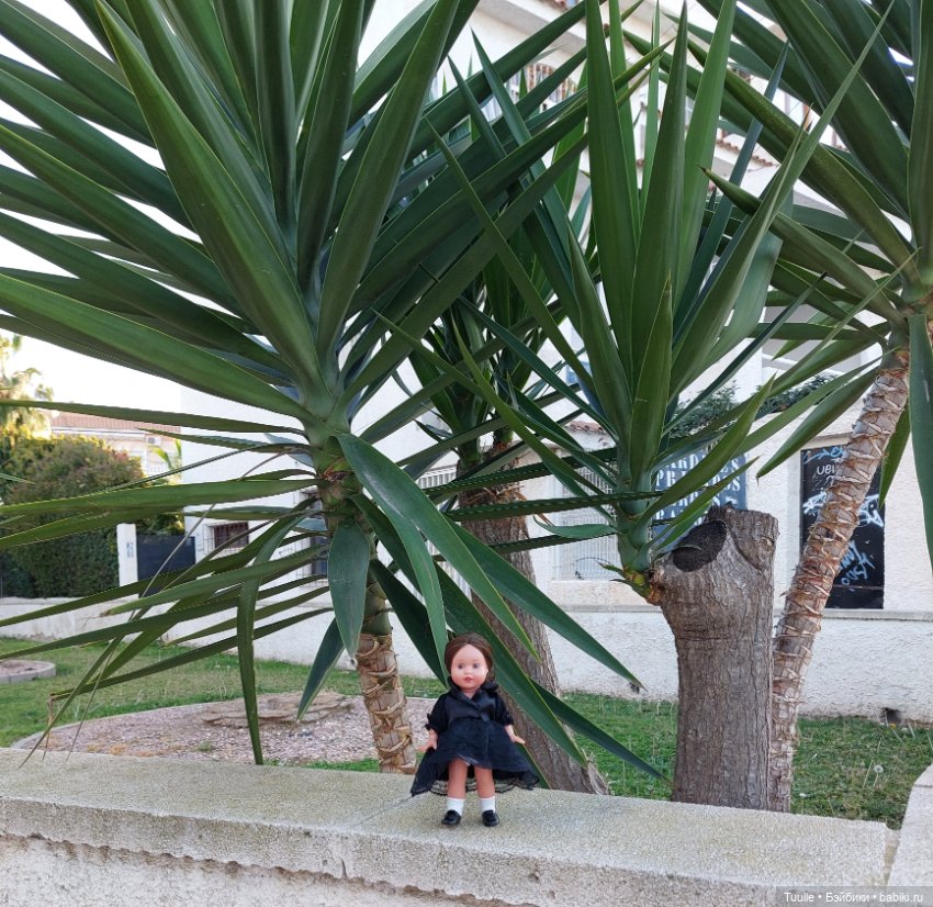 Ещё один летний денёк перед встречей с зимой (фото 6)