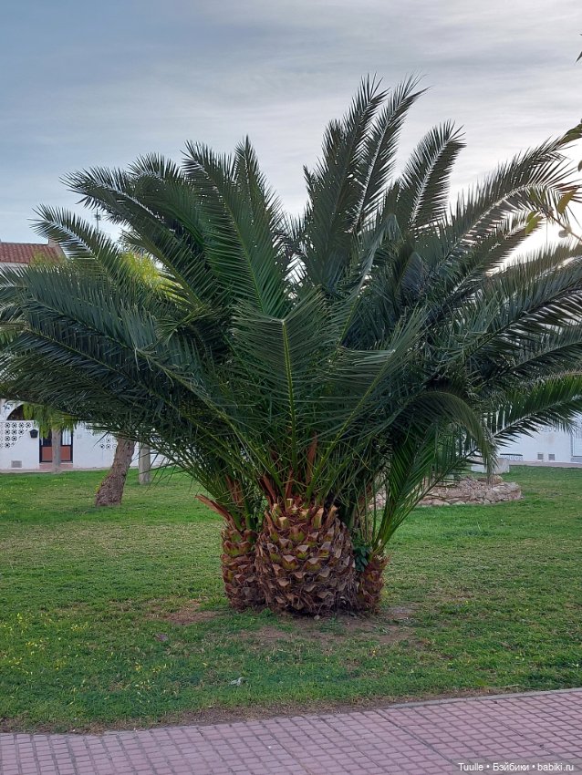 Ещё один летний денёк перед встречей с зимой