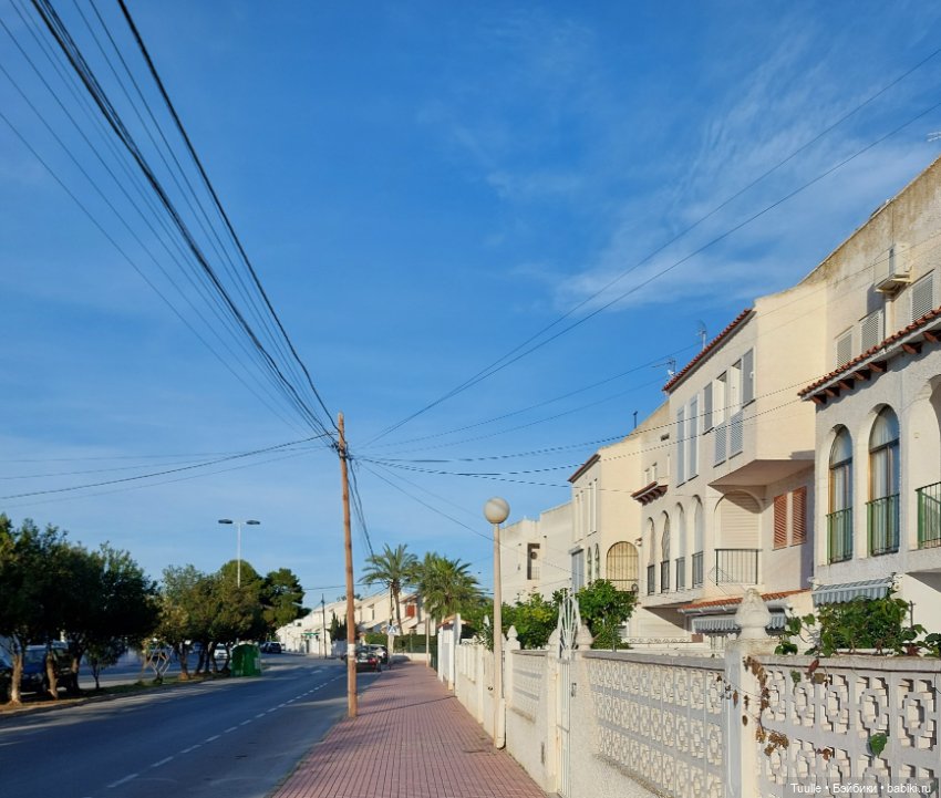 Ещё один летний денёк перед встречей с зимой (фото 4)