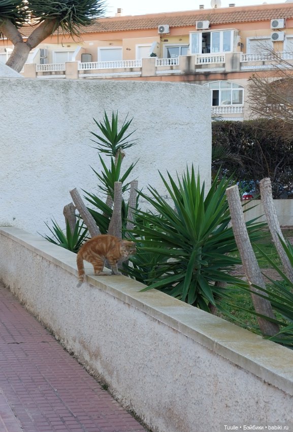 Ещё один летний денёк перед встречей с зимой (фото 7)