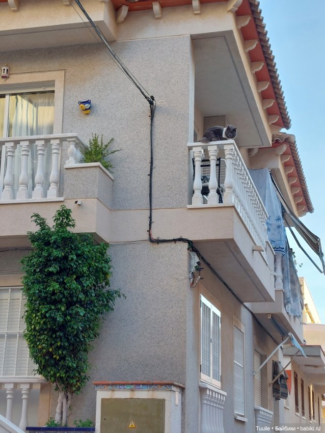 Ещё один летний денёк перед встречей с зимой