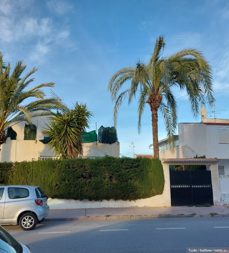 Ещё один летний денёк перед встречей с зимой (фото 2)