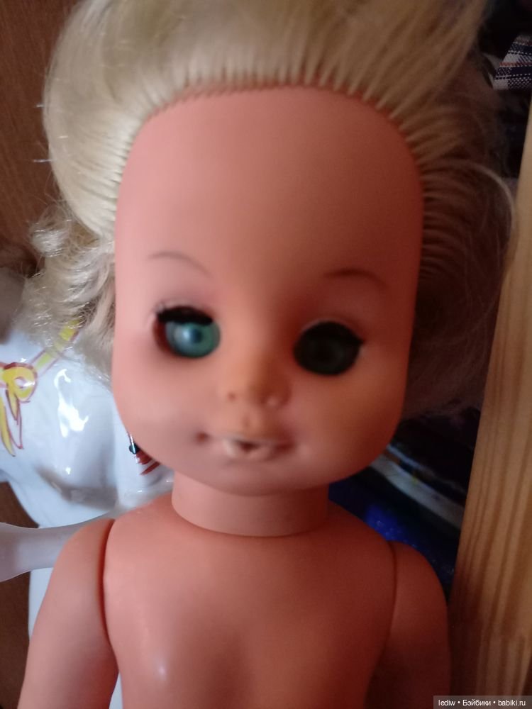 Малышка Эльза или моя очередная чердачная узница (фото 2)