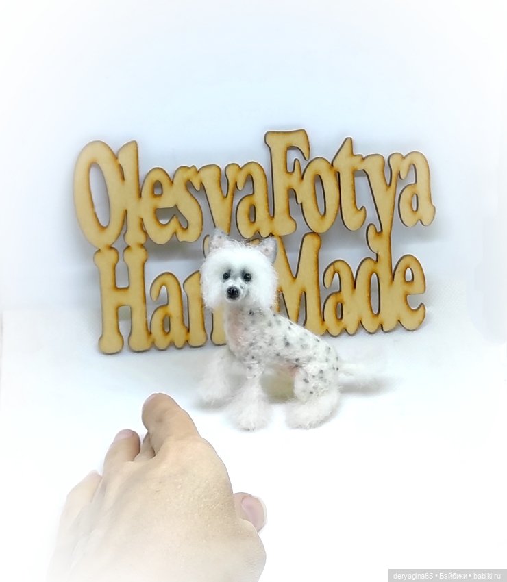 Китайская хохлатая собачка (фото 3)