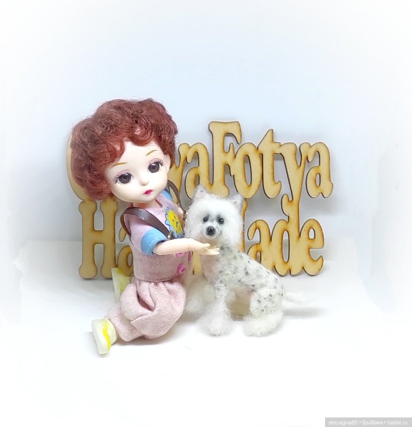 Китайская хохлатая собачка (фото 10)