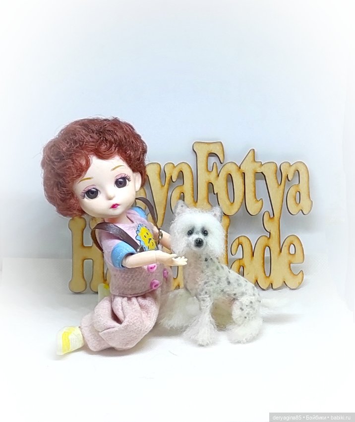 Китайская хохлатая собачка (фото 8)