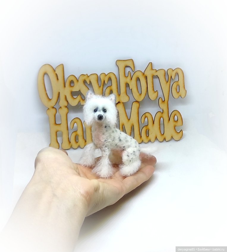 Китайская хохлатая собачка (фото 4)