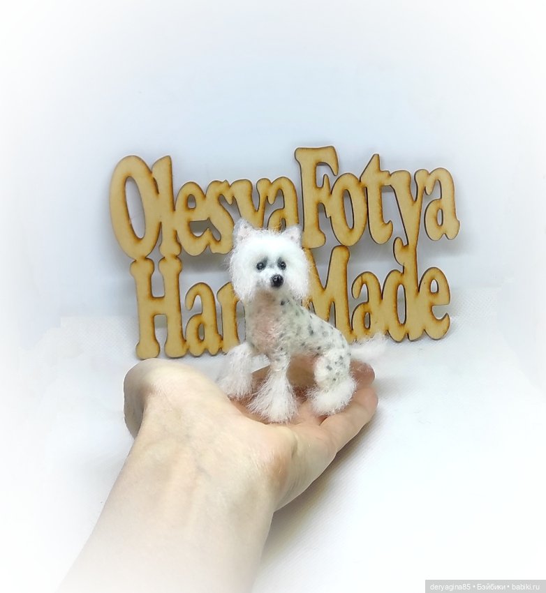 Китайская хохлатая собачка (фото 5)