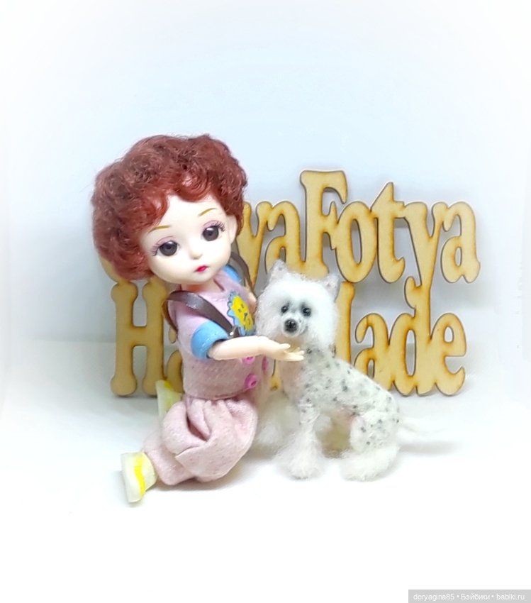 Китайская хохлатая собачка (фото 9)