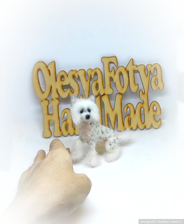 Китайская хохлатая собачка (фото 2)