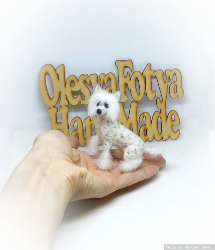 Китайская хохлатая собачка (фото 6)