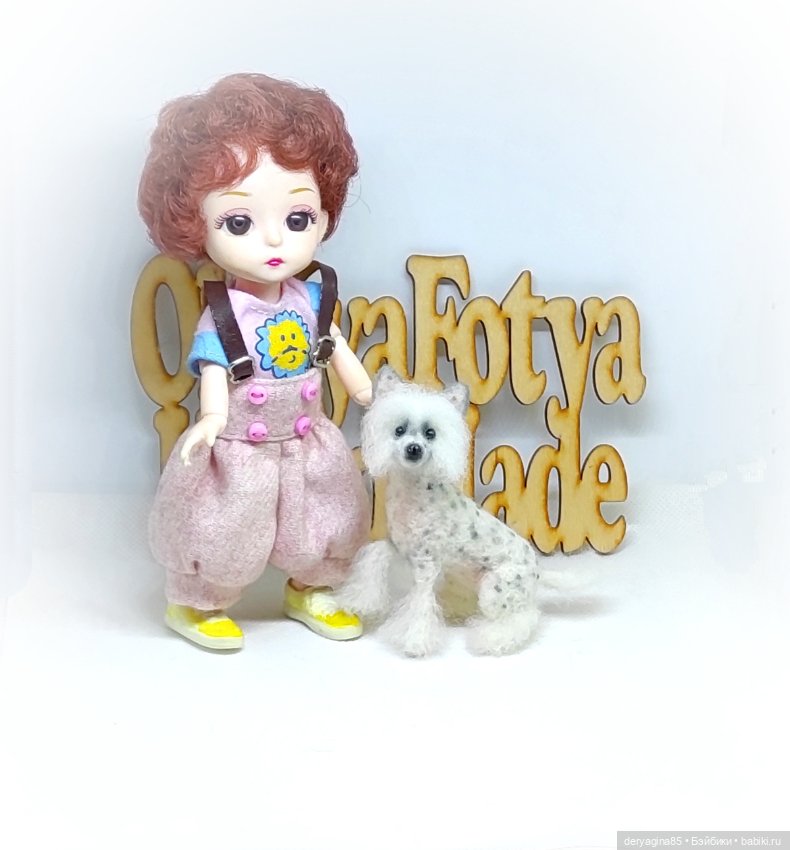 Китайская хохлатая собачка (фото 7)