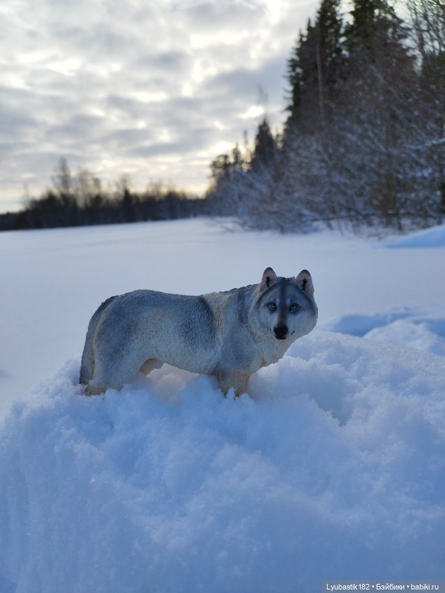 Зима-холода — Коллекционные экшн