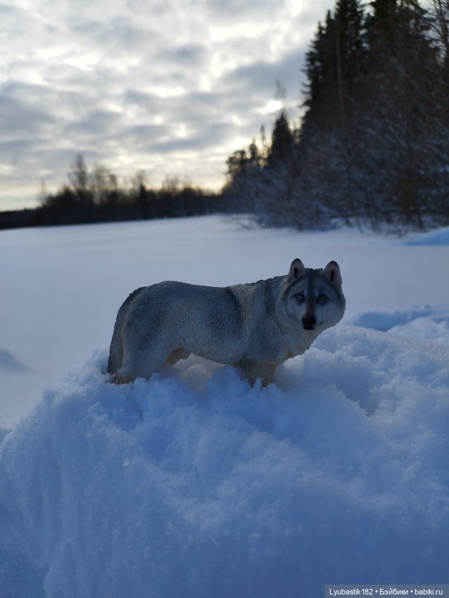 Зима-холода — Коллекционные экшн