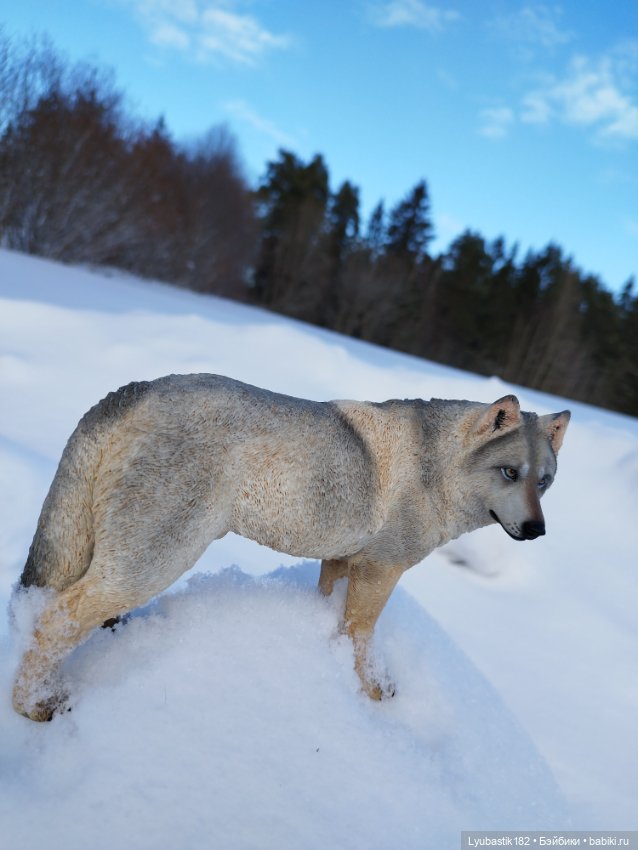 Зима-холода — Коллекционные экшн