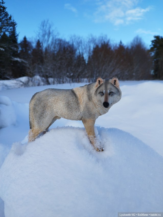 Зима-холода — Коллекционные экшн