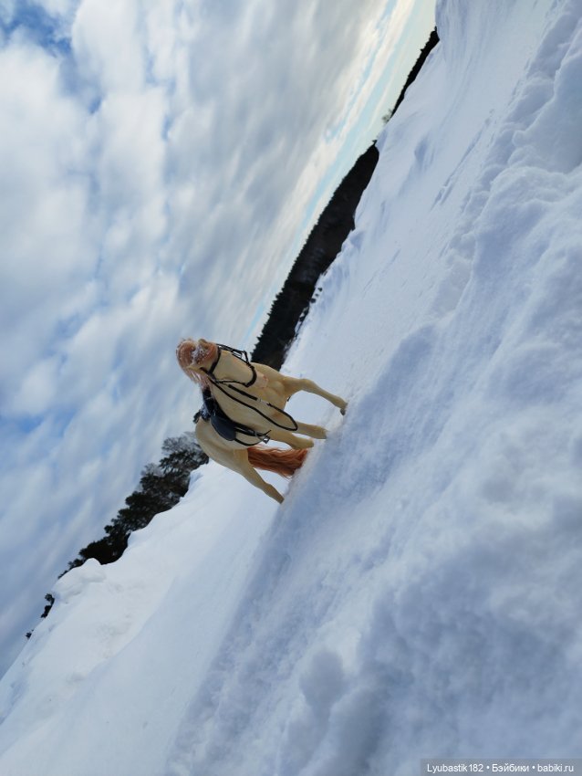 Зима-холода — Коллекционные экшн (фото 2)