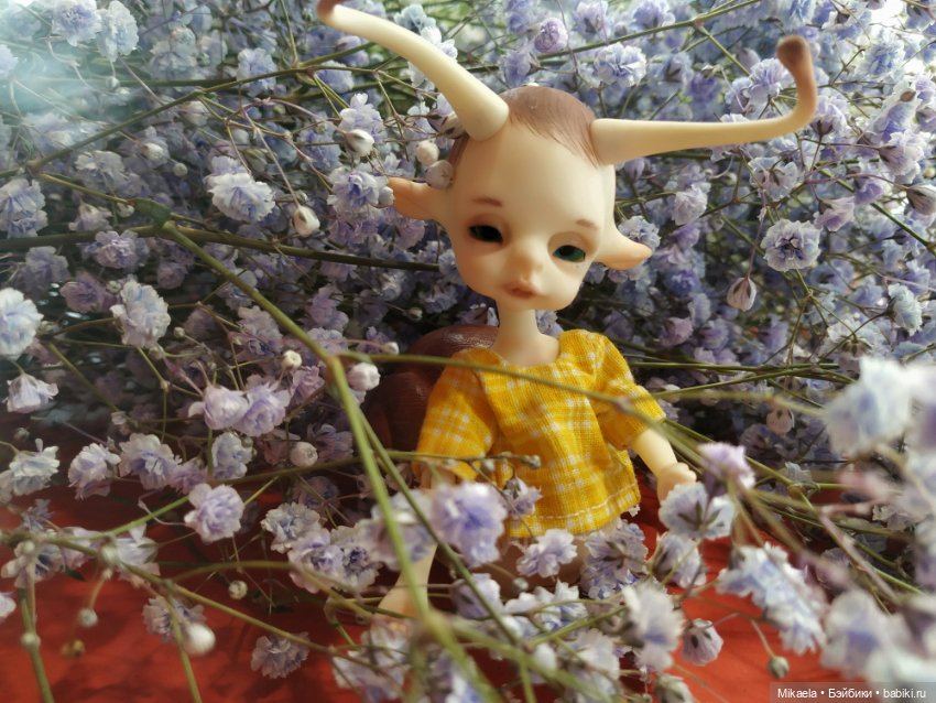 Любимая темка — Куклы Doll Chateau (Доллшато): BJD (БЖД) (фото 3)