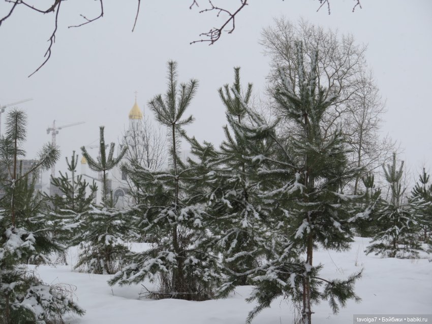 Март в Москве. "Песцы прилетели"