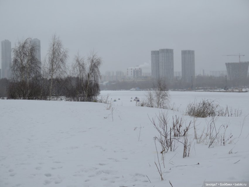 Март в Москве. "Песцы прилетели" (фото 3)
