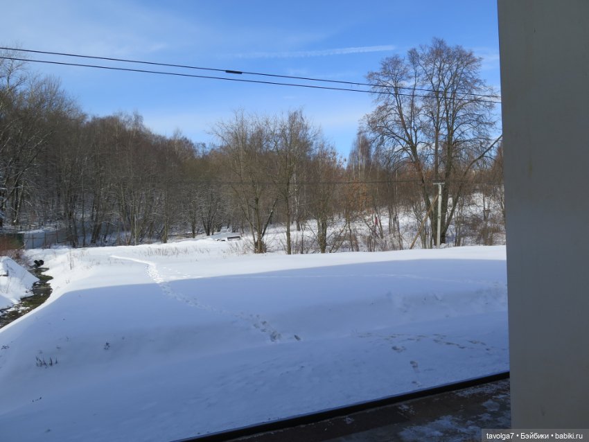 Март в Москве. "Песцы прилетели"