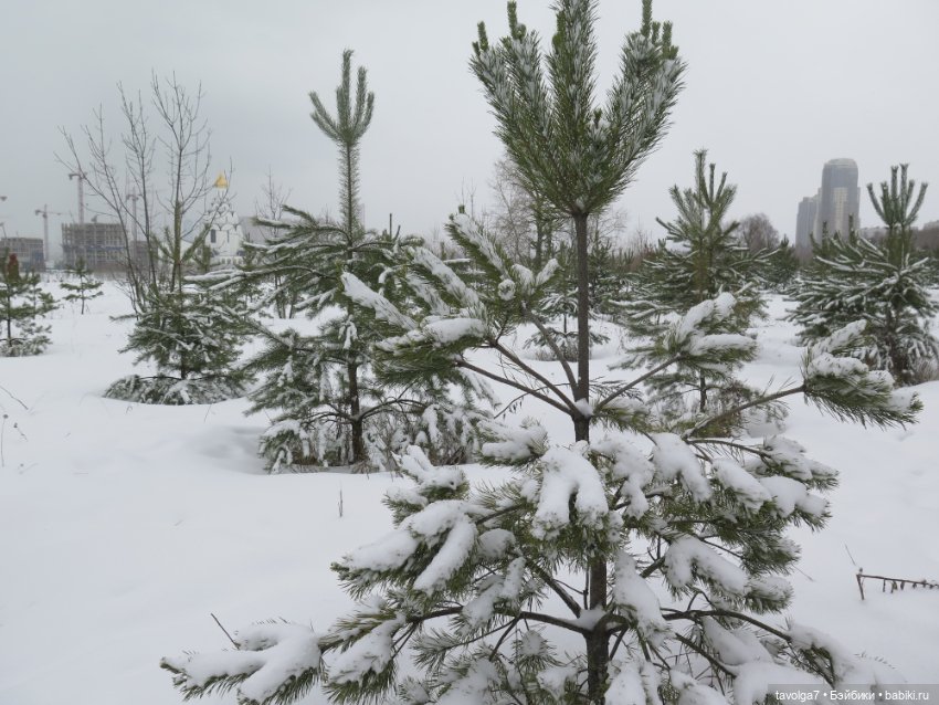Март в Москве. "Песцы прилетели" (фото 5)