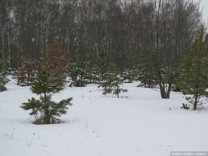 Март в Москве. "Песцы прилетели" (фото 4)