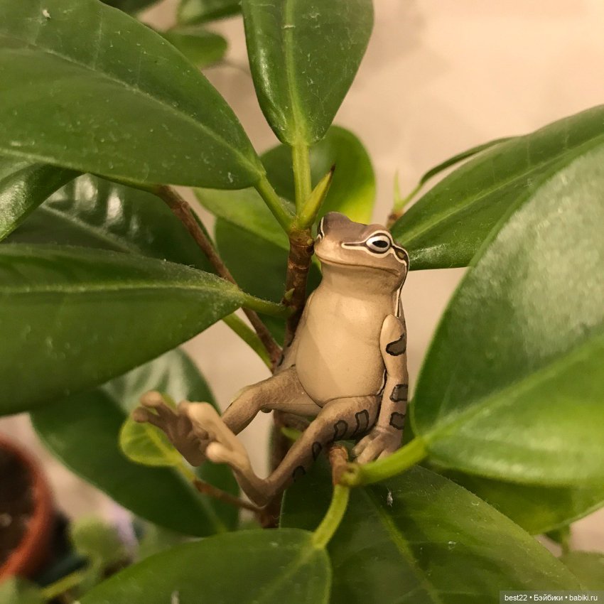 Капсульный лягушонок — Интересные игрушки и фигурки (разное): редкие