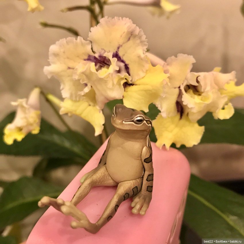 Капсульный лягушонок — Интересные игрушки и фигурки (разное): редкие